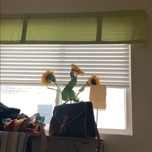 Meet your Posher, Franklin